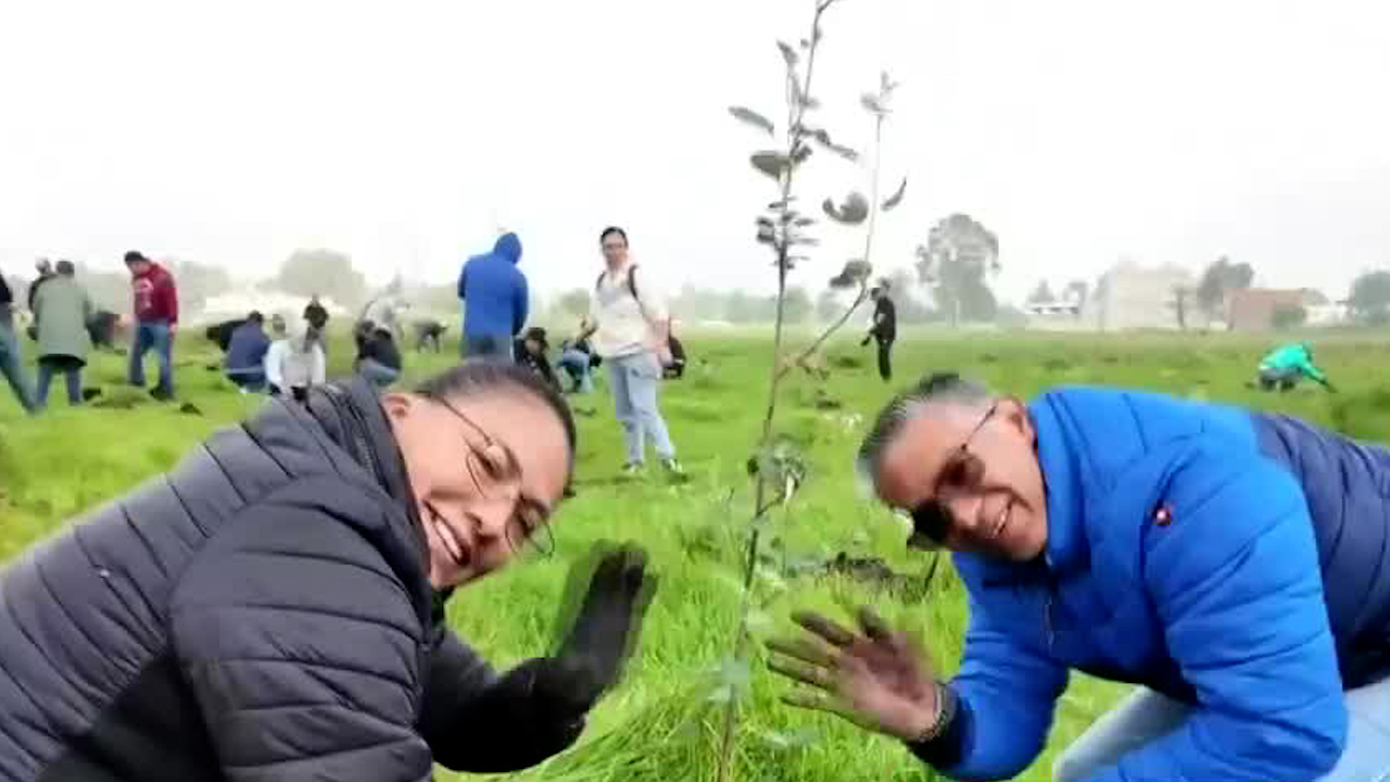Toluca refuerza su entorno ecológico: siembran más de 4,000 árboles en el Bordo San Elías