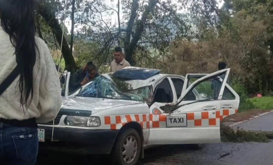 Trágico accidente en Donato Guerra: un árbol cae sobre taxi y causa la muerte del conductor