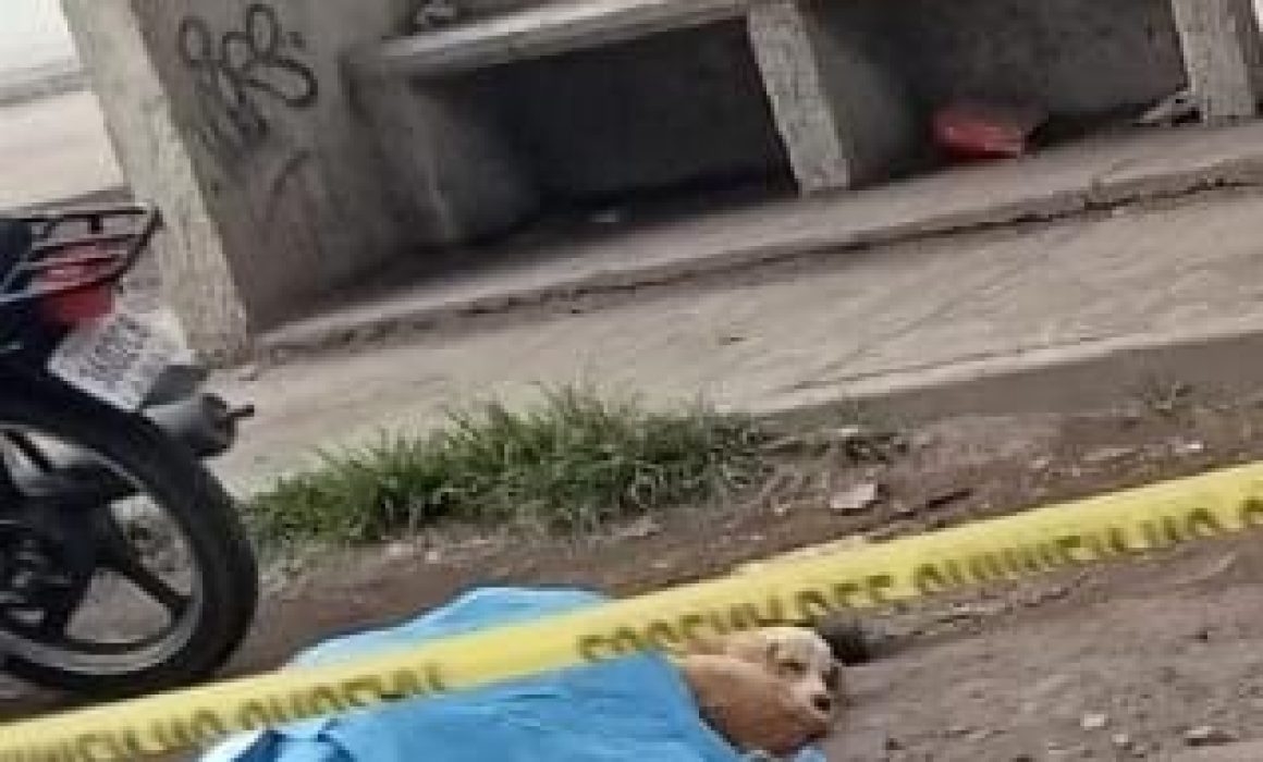 Trágico accidente en la carretera Texcoco-Lechería deja un motociclista muerto y conductor prófugo