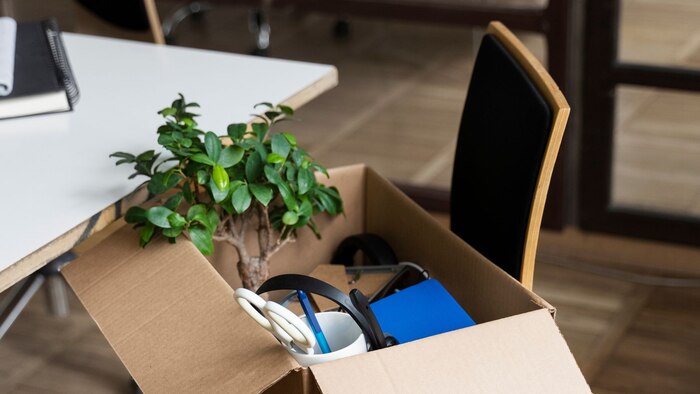 Tribunal Supremo aprueba despido de trabajadora que no asistía a su puesto pese a registrar entrada por compañero