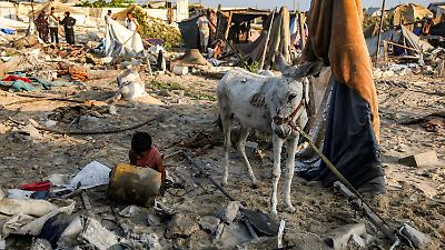 Trump considera posible un alto el fuego en Gaza y alerta sobre la hambruna vista en televisión