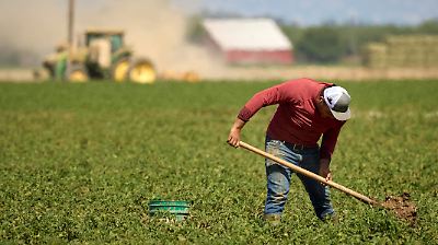 Trump ordena pausa en redadas contra migrantes en sectores clave tras protestas y controversia