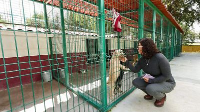 UAEMex y CEPANAF refuerzan acciones para el bienestar animal en el Estado de México