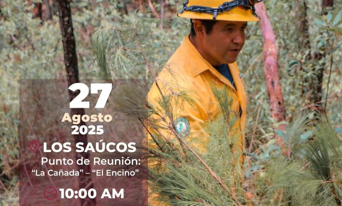 Valle de Bravo impulsa la conservación con jornada de reforestación en Los Saúcos