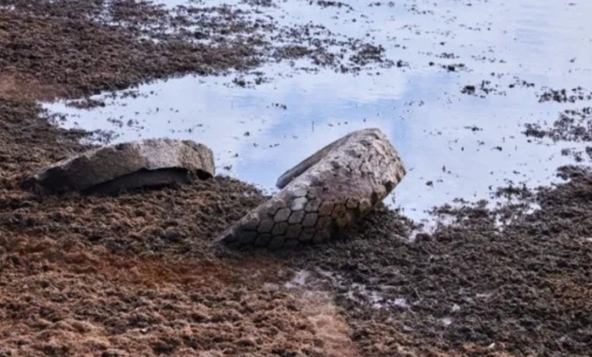 Vecinos de Otumba y Axapusco reportan filtraciones de líquidos tóxicos tras lluvias