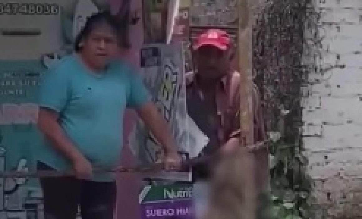 Vecinos de Texcoco exigen justicia por la brutal muerte de Canelo, el perrito querido del barrio