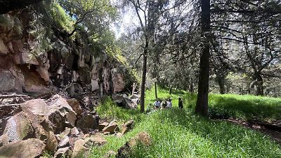 Vecinos de Toluca aseguran que no hay registros de ataques de perros en El Calvario