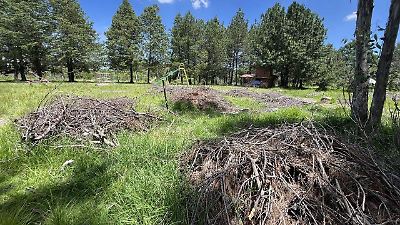 Vecinos de Toluca denuncian más de una década de abandono y deterioro en Parque Alameda 2000