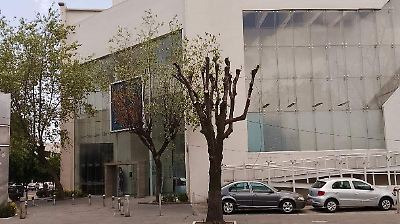 Vecinos de Toluca denuncian ‘podas exageradas’ de árboles