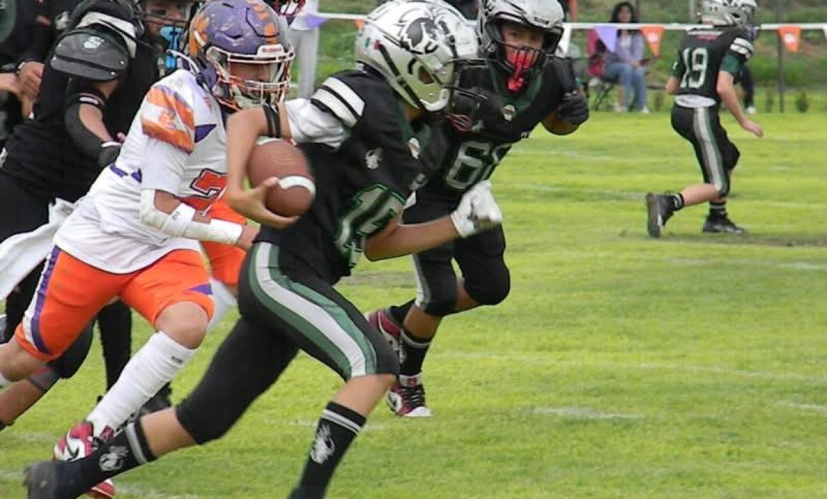 Venados Salvajes buscan coronar dos campeonatos en la Liga Mexiquense en un día lleno de emociones