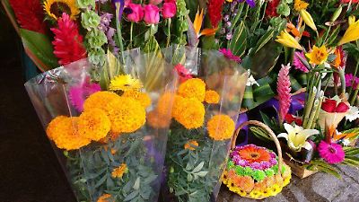 Ventas de flores amarillas en Toluca no cumplen expectativas en septiembre, pero hay esperanza para octubre