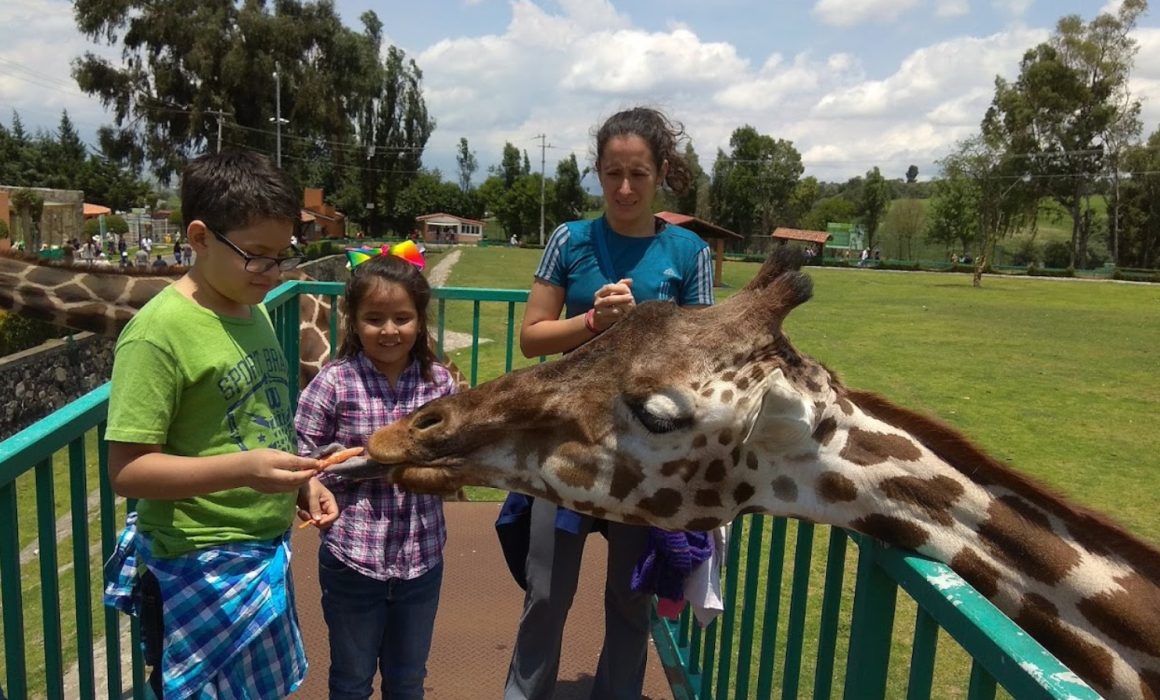 Verano en Zacango: Entrada gratuita en zoológico del Estado de México para familias de Calimaya