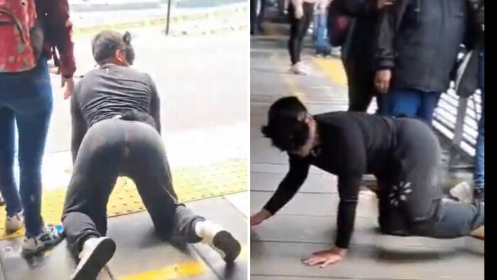 Video muestra a therian en estación de TransMilenio en Bogotá, generando debate en redes sociales