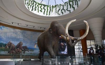 Visitaron museos mexiquenses 2.4 millones de personas en 2024