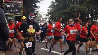 Zacango se prepara para la Cuarta Carrera del Maíz Cacahuazintle en Santa María Nativitas