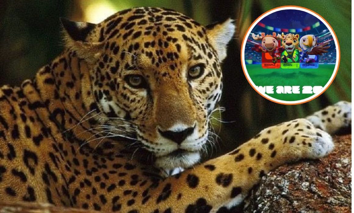 Zayu el jaguar, la mascota que llevará la pasión mexicana al Mundial 2026