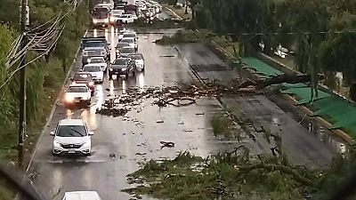  Árbol cae sobre camioneta en Toluca-Tenango por lluvias